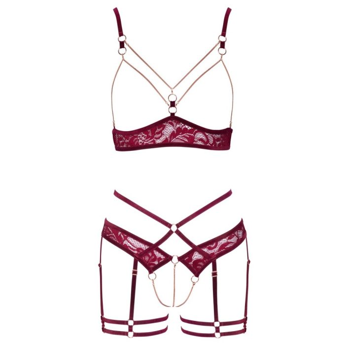 Abierta Fina Open Red Lace Set - Image 4